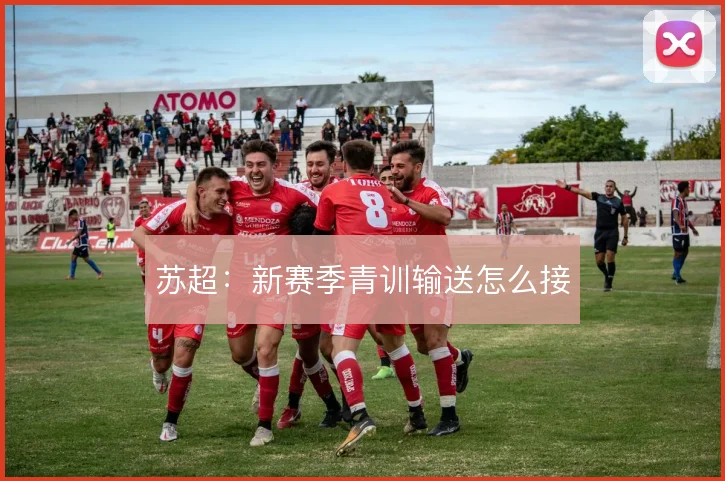 苏超：新赛季青训输送怎么接